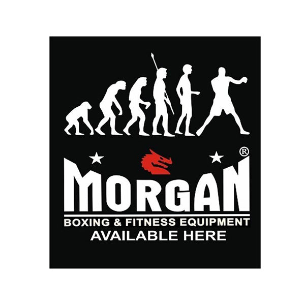 Morgan Evolution Banner