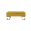 Velvet Bench With Storage Compartment
