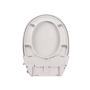 Non Electric Bidet Toilet Seat With Cover