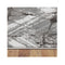 Non Shedding Lotus Grey Contemporary Rug
