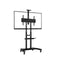 North Bayou Mobile Display Stand Screen Size 55To 80In