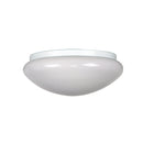 Opal Gloss Light For Ceiling Fan