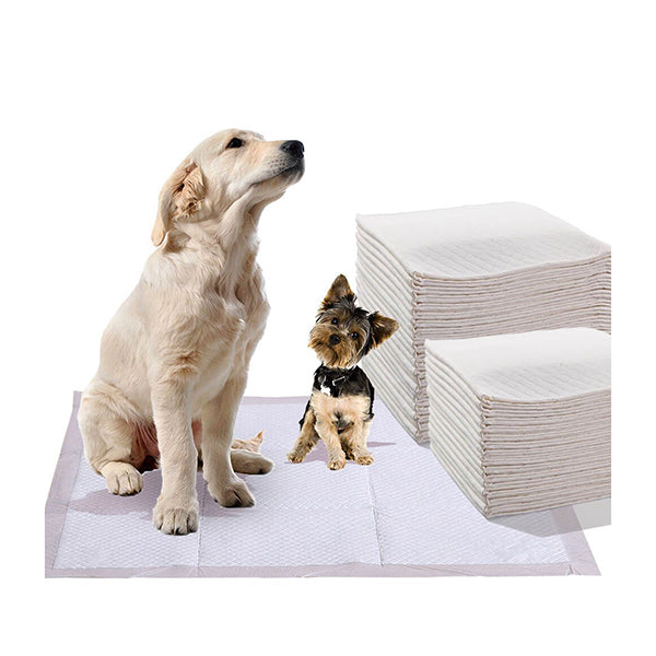 Pawz 400 Pcs 60X60 Cm Pet Puppy Dog Toilet Training Pads Absorbent Meadow Scent