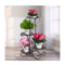Plant Stand Outdoor Indoor Metal Flower Pots Rack Corner Shelf Planter