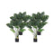 Soga 4X 93Cm Artificial Indoor Potted Turtle Back Tree Flower Plant
