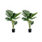 Soga 2X 120Cm Artificial Green Indoor Turtle Back Tree Flower Plant