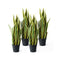 Soga 4X 95Cm Artificial Indoor Yllw Edge Tiger Piran Tree Flower Plant