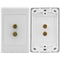 Pro 2 2 Terminal Speaker Wall Plate