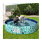 160Cm Pet Dog Swimming Pool