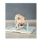 Large Portable Dog Potty Training Tray Pet Puppy Toilet Loo Mat Pad