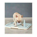 Medium Portable Dog Potty Training Tray Puppy Toilet Loo Mat