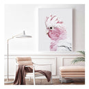 Pink Galah White Frame Canvas Wall Art