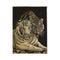Polypropylene Allure Berber Tigers Rug 115 X 155 Cm