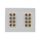 Pro2 16 Terminal Speaker Wall Plate