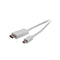 Pro2 Mini Display Port To Hdmi 2M