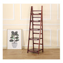 Randy & Travis 5 Tier Wooden Ladder Shelf Stand
