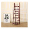 Randy & Travis 5 Tier Wooden Ladder Shelf Stand