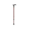 Rebotec Simplex Walking Stick With Derby Handle