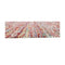 Red Rio Flat Woven Rug