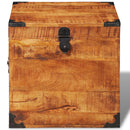 Rough Mango Wood Square Chest