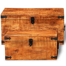 Rough Mango Wood Storage Chest (Set Of 2)
