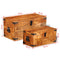 Rough Mango Wood Storage Chest (Set Of 2)