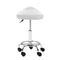 Saddle Salon Stool Pu Swivel Barber Hydraulic Lift