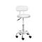 Salon Stool Swivel Barber Hydraulic Height