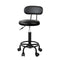 Salon Stool Swivel With Back Barber Beauty Hydraulic Lift