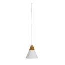 Sculptured Timber Top Pendant