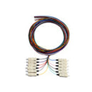 Serveredge St Pigtail Os2 2M 12 Fibres 12 Colour