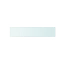 Shelf Panel Clear Glass
