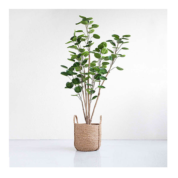 150Cm Green Artificial Indoor Pocket Money Tree