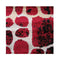 Stain Resistant Ruby Red Rug