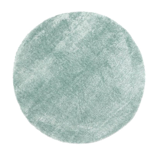 Plush Teal Shag Rug