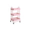 Trolley Cart Steel Storage Rack