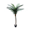 Tropical Phoenix Palm Tree 170cm