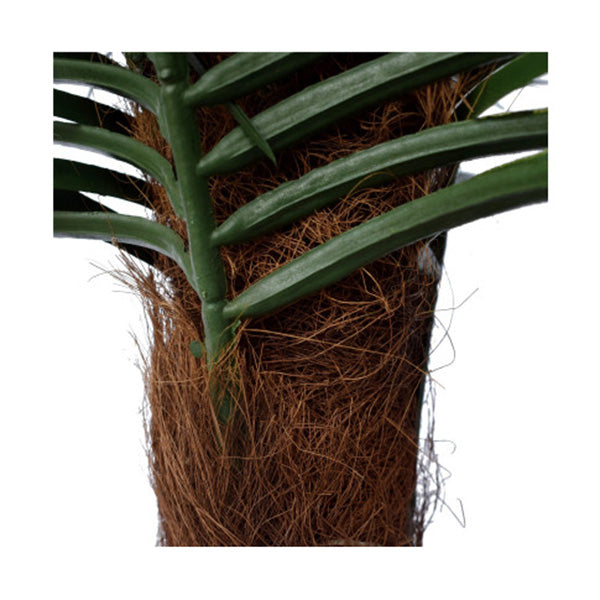 Tropical Phoenix Palm Tree 170cm