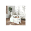White Engineered Wood Coffee Table