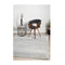 Cheshire Cindy Silver Rug