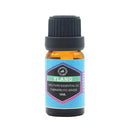 Essential Oil 10Ml