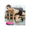 Yoga Stability Disc Home Gym Pink