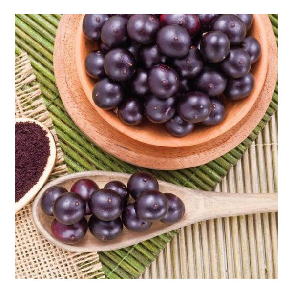 100G Organic Acai Powder Pure Antioxidant Superfood Amazon Berries