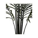 Artificial Areca Palm Black Trunks 190 Cm