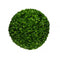 Large Clover Hedge Topiary Ball Uv Resistant 48 Cm