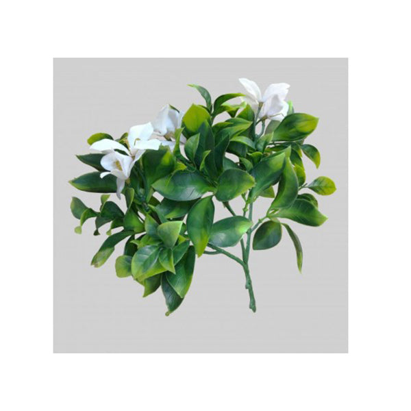 White Flowering Jasmine Stem Uv Resistant 30 Cm