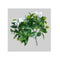 White Flowering Jasmine Stem Uv Resistant 30 Cm