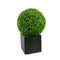 Large Clover Hedge Topiary Ball Uv Resistant 48 Cm
