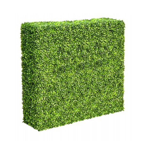 Mixed Boxwood Hedge Uv Resistant 100 Cm Long X 100 Cm High