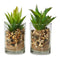 2 Pcs Faux Succulents Plants With Glass Sand And Stone
